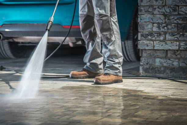 Best Roof Cleaning and Mildew Removal in Ladera Ranch, CA